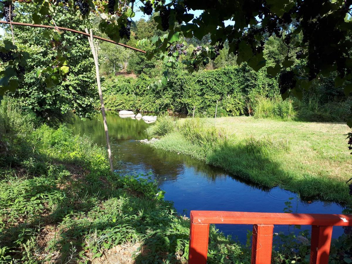 Dream Corner By Waterfalls, 20 Min To Oporto, By Porto With Love Lda Parada  Luaran gambar